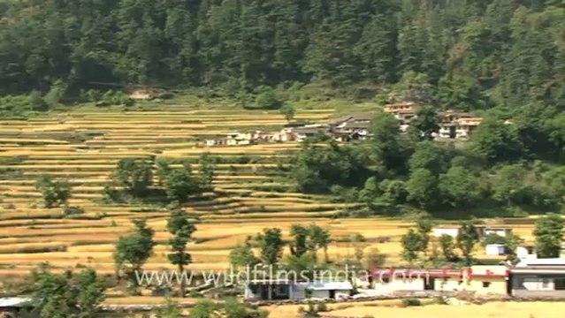 gaumukh trek-hdv-187-6.mov