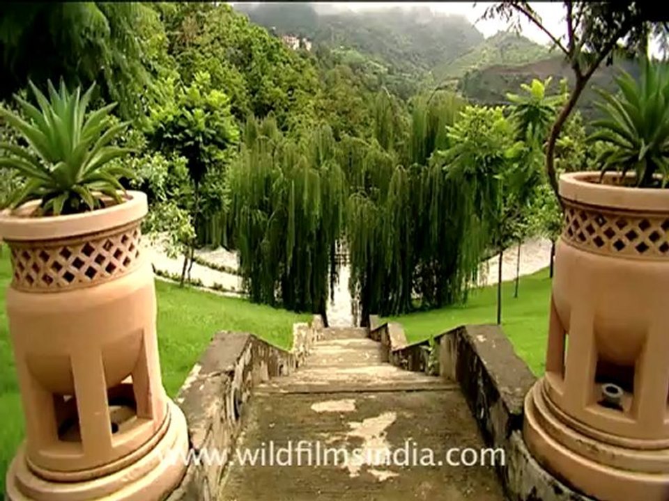 Ananda-1.mov