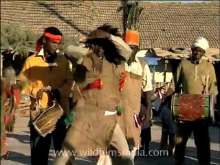 gujarat-gir-DVC-6-9.mov