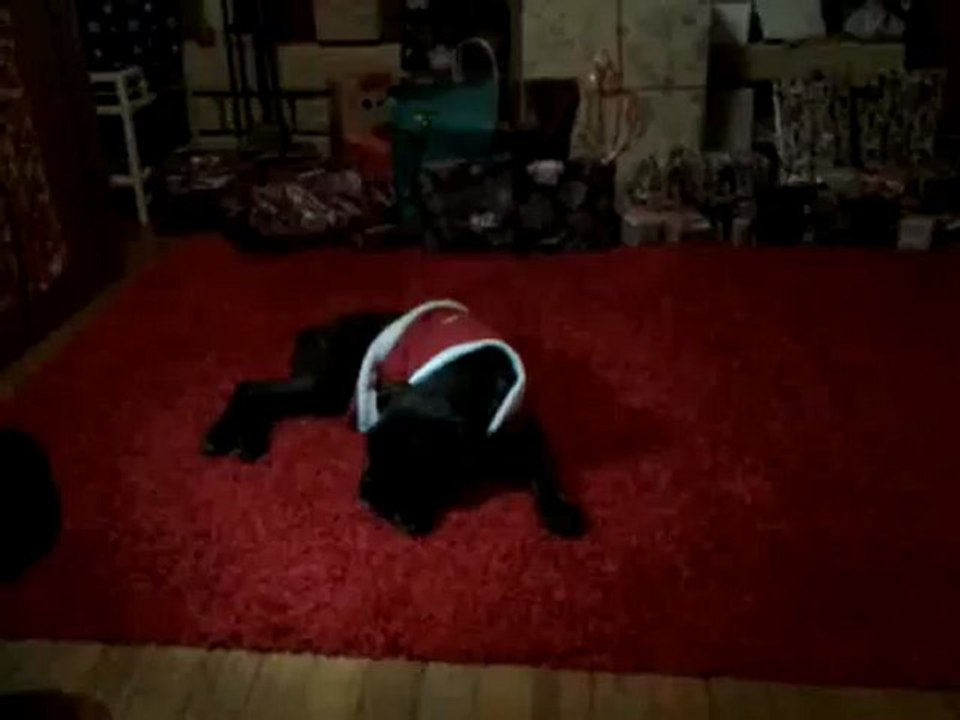 25 12 2012 HADESSE la boxer du pere  noel !!!