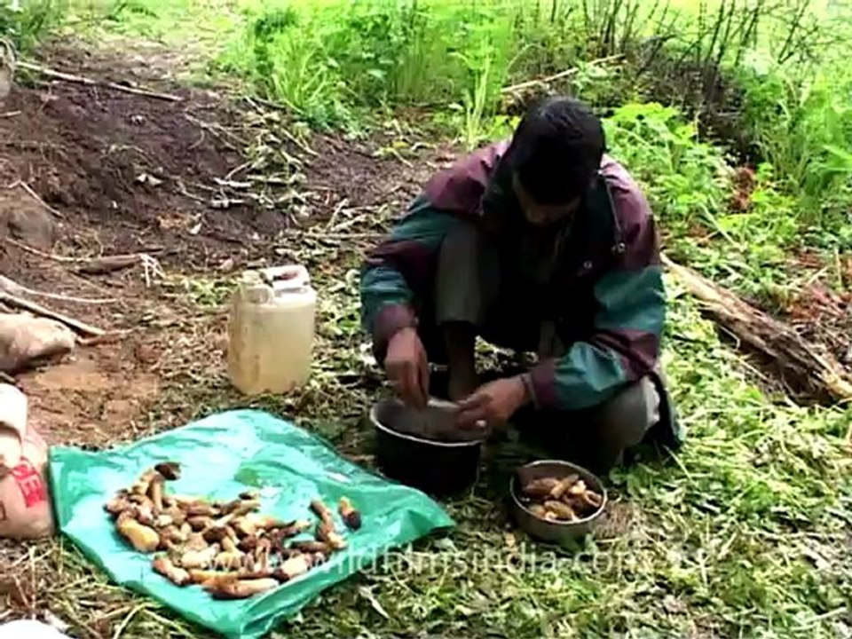 Bhujgara-MDV-124-2.mov