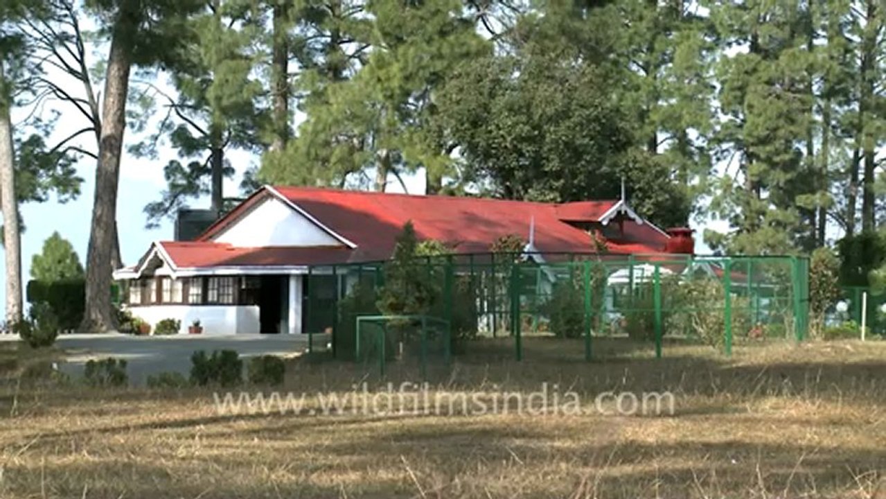 ranikhet-10mov.mov