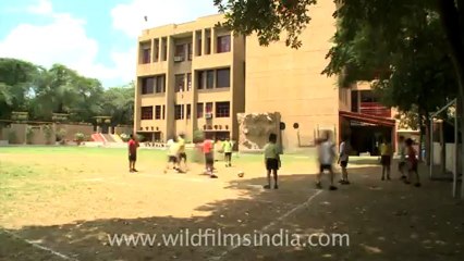 shri ram school-5.mov