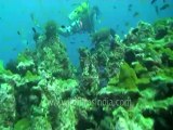 under water-scuba divers 3.mov