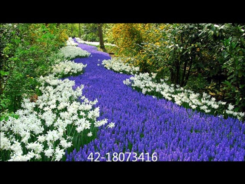 Siyah Gözlerine Beni de Götür