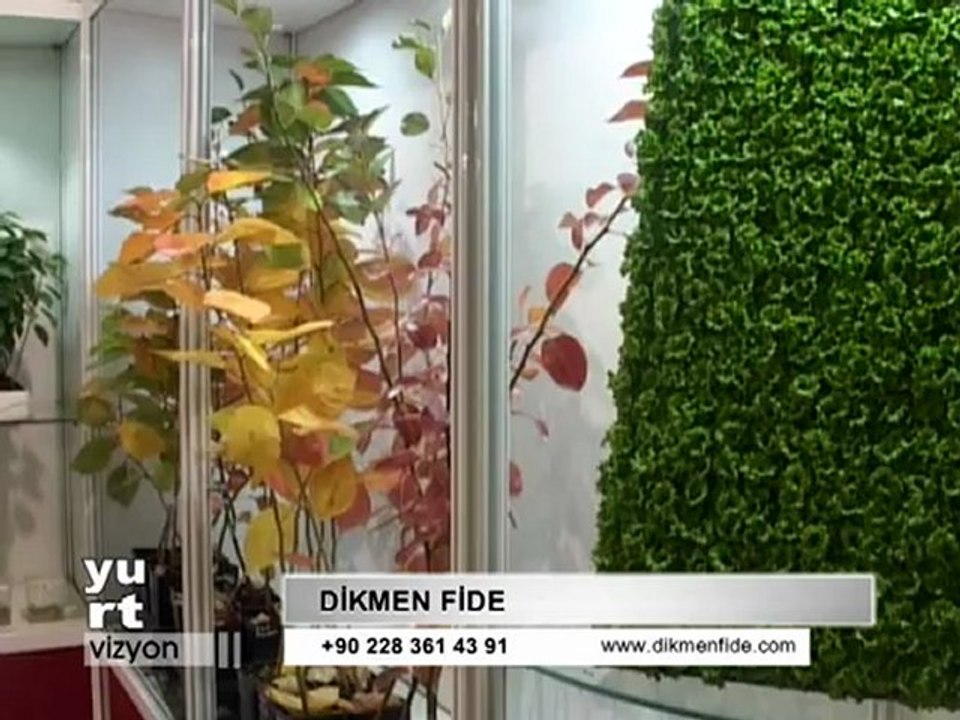 DİKMEN FİDE