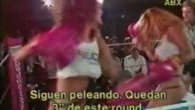 Foxy Boxing (boxeo en tetas)
