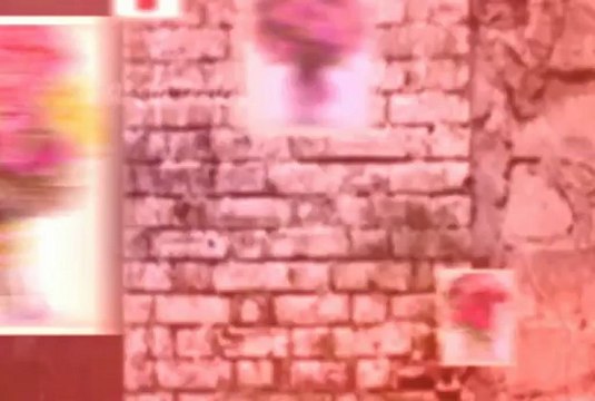 Order Flowers for Delivery - Call us at (519)752-5402