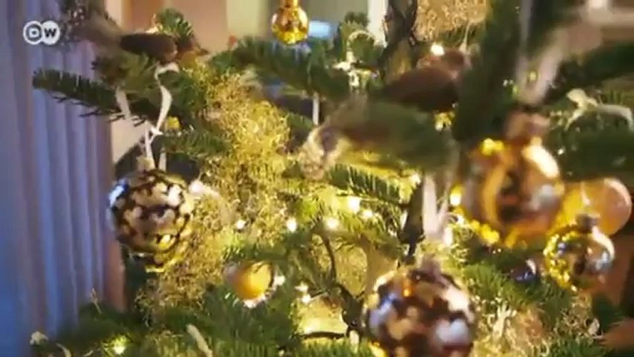 Tendencias en la decoración del árbol de Navidad en 2012 | Euromaxx