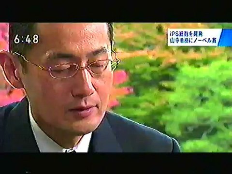 121128-1843-1850 newsterass