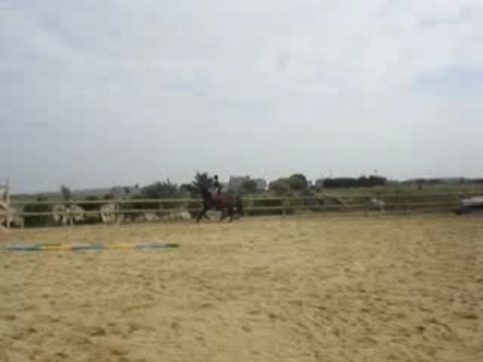 Iola, Ecuries du bout du monde