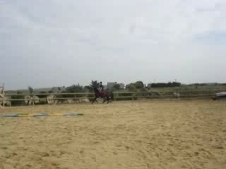 Iola, Ecuries du bout du monde