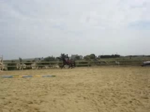 Iola, Ecuries du bout du monde