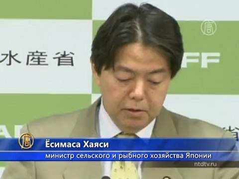 Япония защищает своё право на убой китов