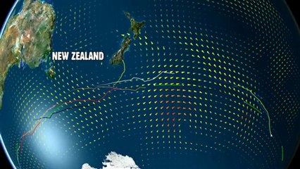 Bubi monte au mât / Bubi climbs the mast / Bubi sube al mástil