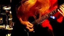 ARCH ENEMY - THE IMMORTAL