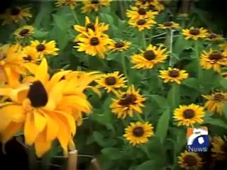 Attn  Shahid Sb Faiz Poetry Bahar  26 02.mp4