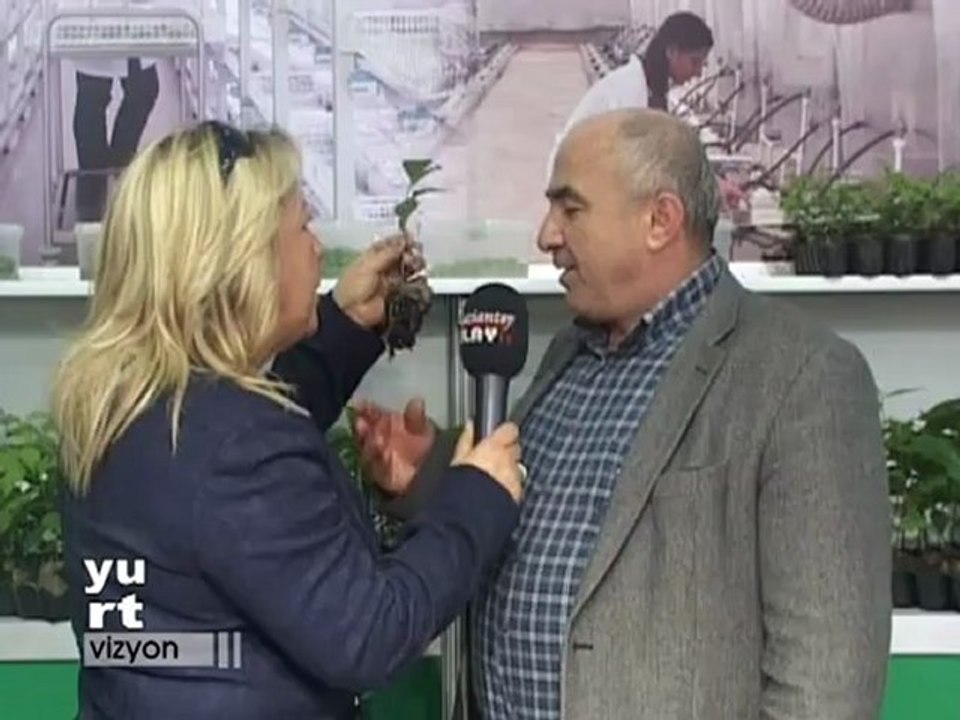 ALGEN TARIM