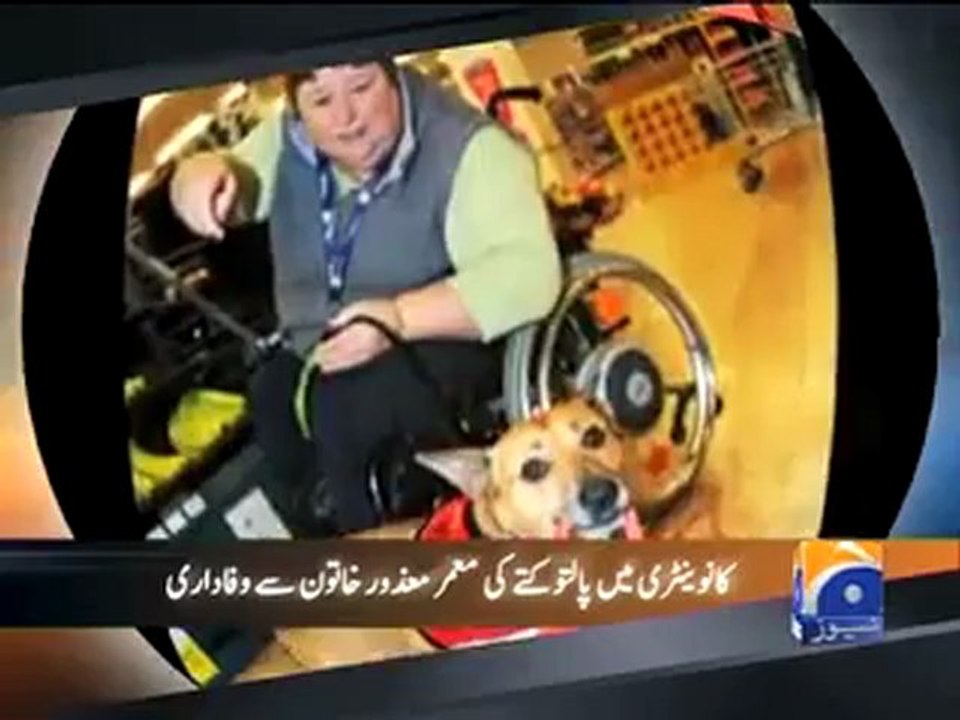 Dilchap Ajeeb PKG.mp4