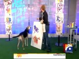 Dog Painting 24 Dec,2010.mp4