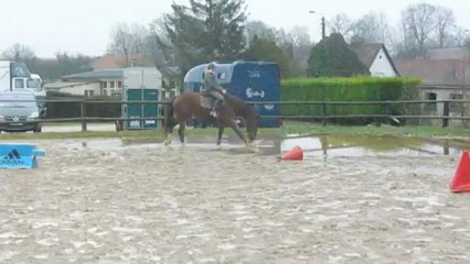 virgil de cerisy décembre 2012