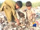 Garbage Collecting Child Sukkur.mp4