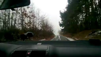 Lumia 920 - stabilizacja obrazu