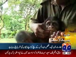 Latest Geopolitical Headlines – April 9, 2010 🌍