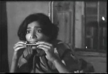 BAHAR AAYI PHOOL PHALOON SE  BHARI DALI DALI