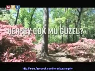 MPL TV ALLAH'A SEVGİ 2