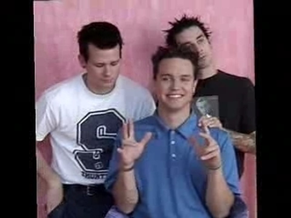 blink 182 enema of the states