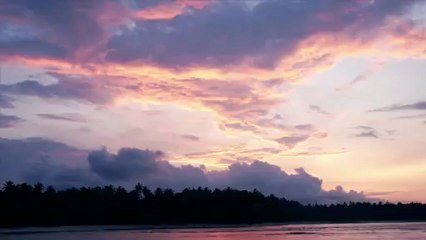 HERE - THERE - EVERYWHERE