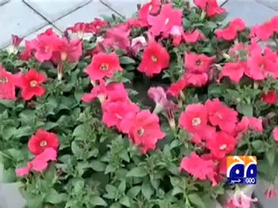 Jashn-e-Baharan.mp4