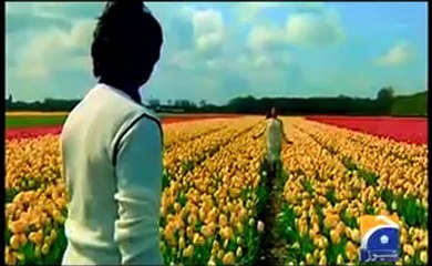 Javed Akhter Birthday.mp4