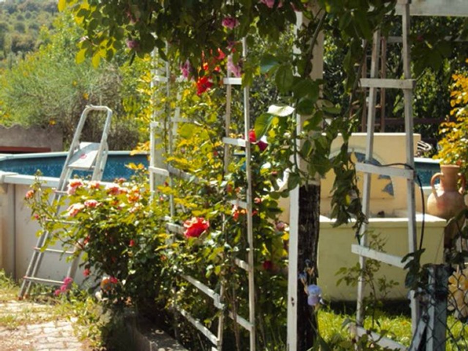 fleurs du jardin mai 2010 1 er partie