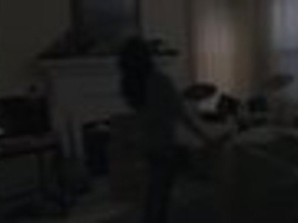 'A Haunted House' Trailer