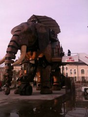 Un tour d'éléphant sur l'ile de Nantes en attendant Ceylan...