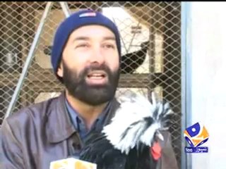 Discover the Different Types of Chicken in DIK-Pakistan 🍗 - thumbnail