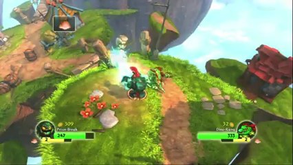 9) Amawalk Skylanders Spyro's Adventure - Pierraille