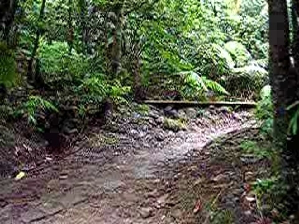 Sur la trace, aux Bains Jaunes