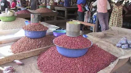 الازمة السياسية في افريقيا الوسطى تنعكس سلبا على الاقتصاد