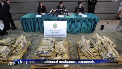 Hong Kong seizes huge haul of smuggled ivory