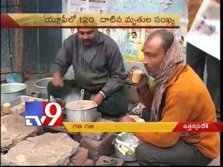 North India reels under cold wave