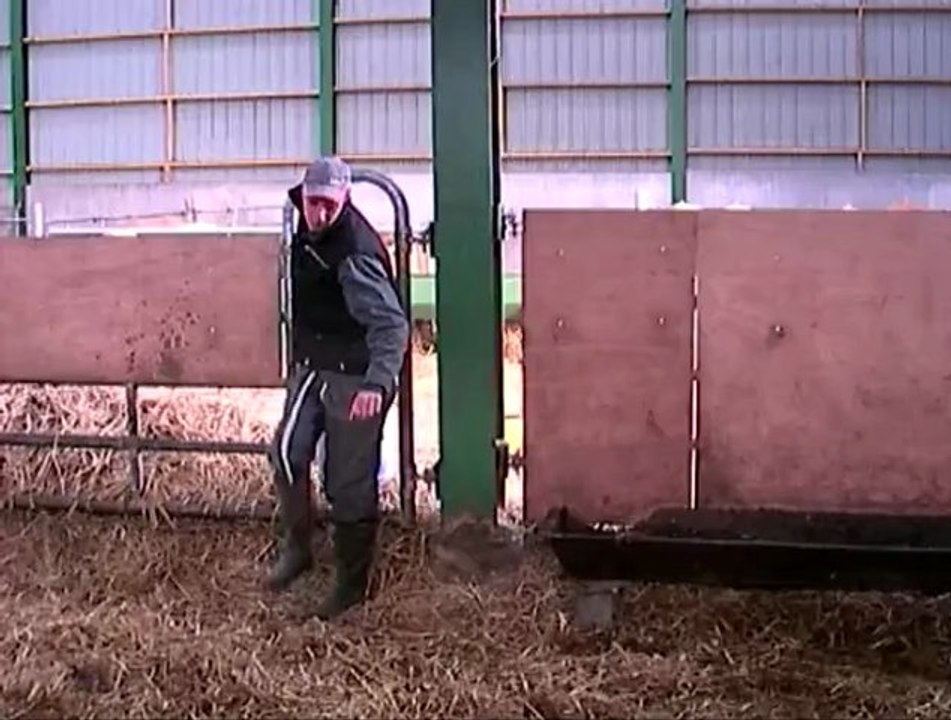 La double période de vêlages