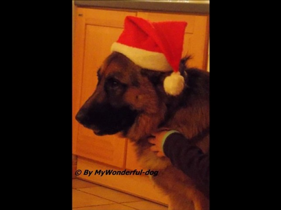 Joyeux noel !