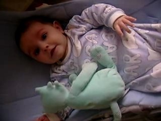 Vdo lily