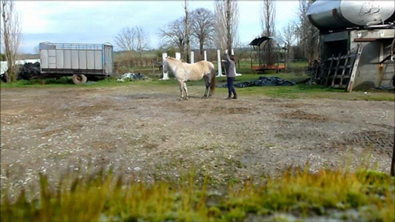Travaille à pieds avec Qannelle