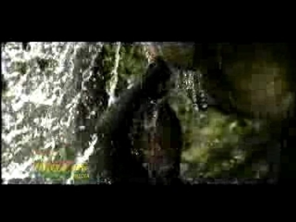 Turbulence & Sasha - Want A Natty -