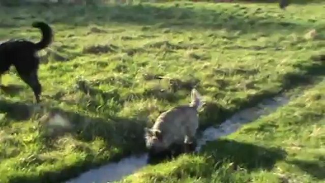 20121229 Fredaine et Google