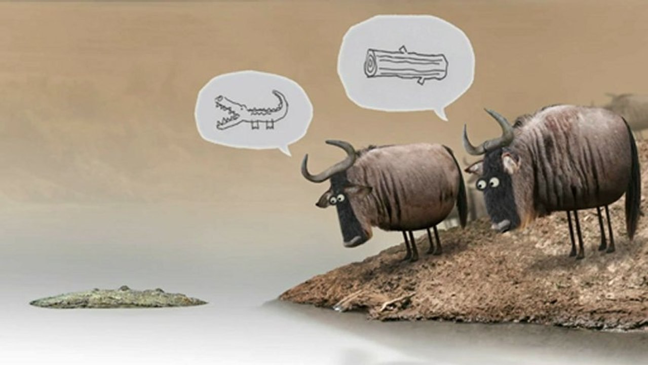Sheep Crocodile Wildebeest Animation